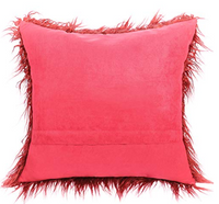 Pillow Cover Cushion